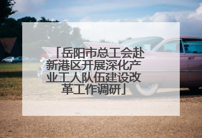 岳阳市总工会赴新港区开展深化产业工人队伍建设改革工作调研